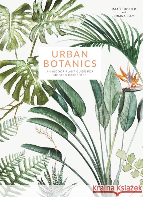 Urban Botanics: An Indoor Plant Guide for Modern Gardeners Maaike Koster Emma Sibley 9781781316535 Aurum Press