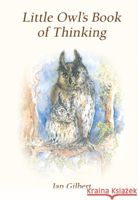 Little Owl's Book of Thinking Ian Gilbert 9781781354391 Independent Thinking Press