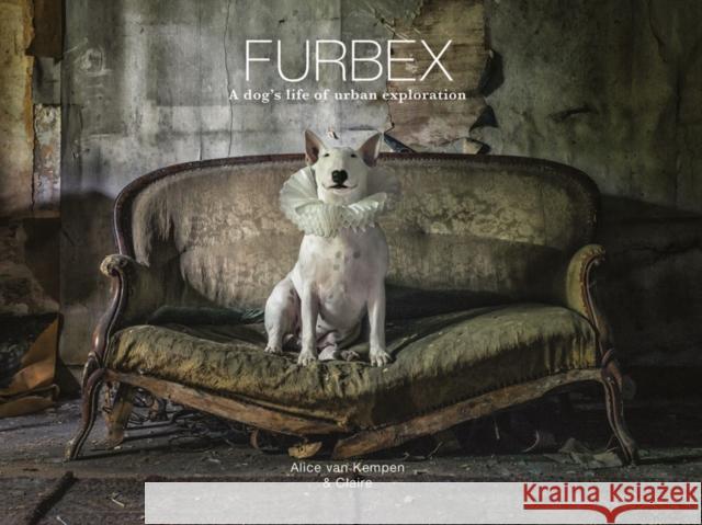 Furbex: A Dog’s Life of Urban Exploration Alice van Kempen 9781781453322 GMC Publications