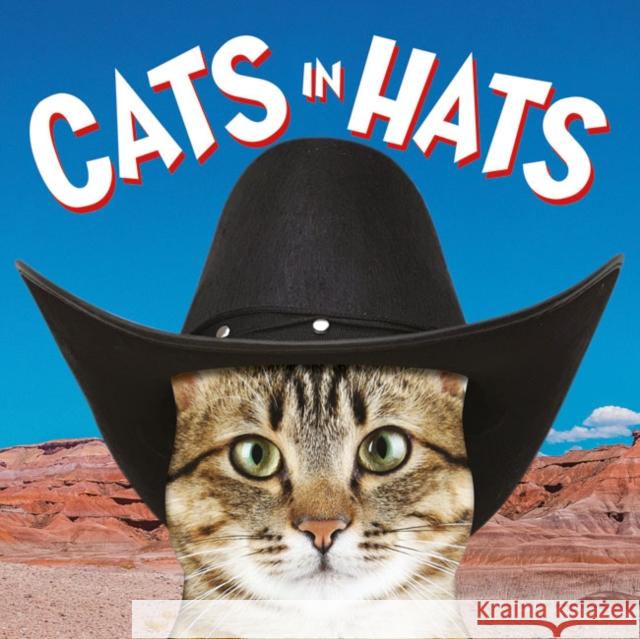 Cats in Hats Ammonite Press 9781781453476