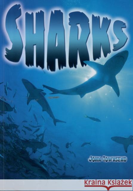 Sharks John Townsend 9781781475393