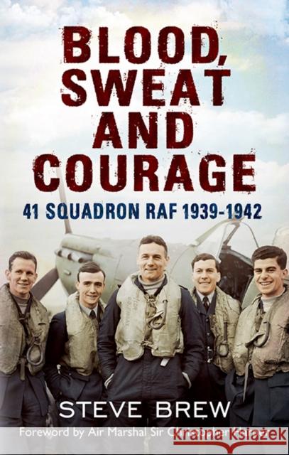 Blood, Sweat and Courage: 41 Squadron RAF, 1939-1942 Steve Brew 9781781552964 Fonthill Media Ltd