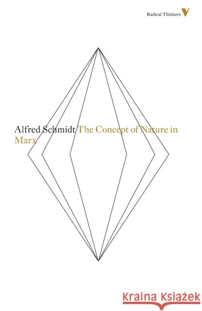 The Concept of Nature in Marx Schmidt, Alfred 9781781681473 Verso