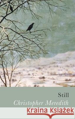 Still Christopher Meredith 9781781726143 Poetry Wales Press