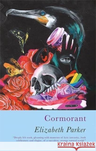 Cormorant Elizabeth Parker 9781781727362 Poetry Wales Press