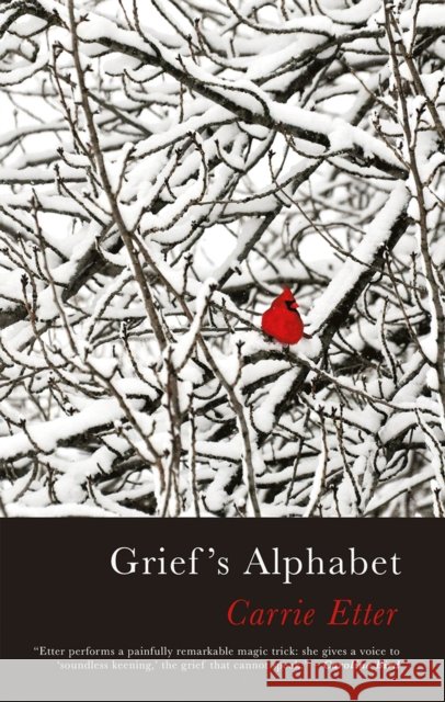 Grief’s Alphabet Carrie Etter 9781781727508