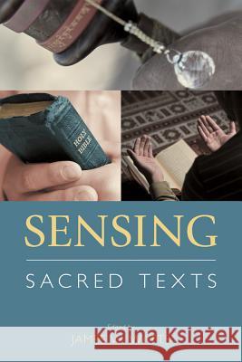 Sensing Sacred Texts James W. Watts 9781781795767 Equinox Publishing (Indonesia)