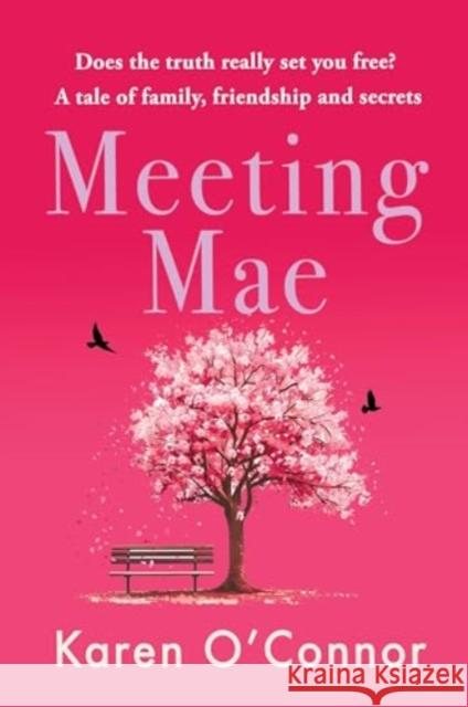 Meeting Mae Karen O'Connor 9781781996744 Poolbeg Press Ltd