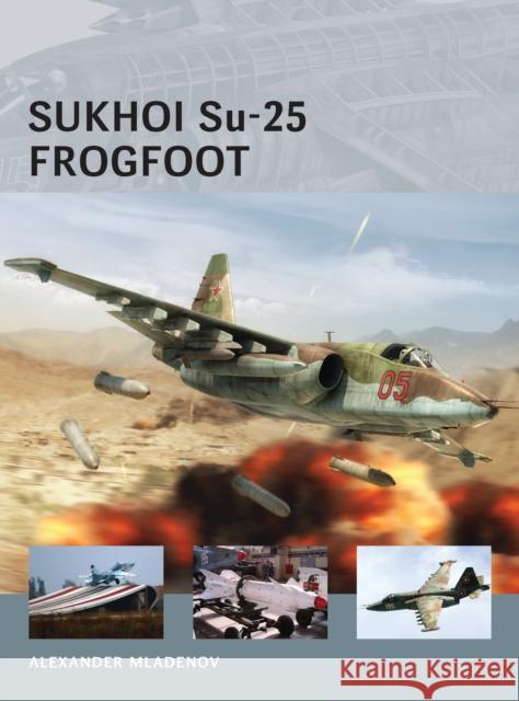 Sukhoi Su-25 Frogfoot Alexander Mladenov 9781782003595