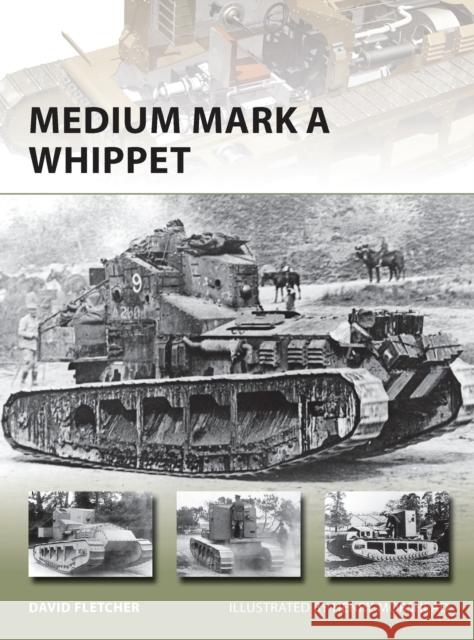 Medium Mark a Whippet Fletcher, David 9781782003984 Osprey Publishing (UK)