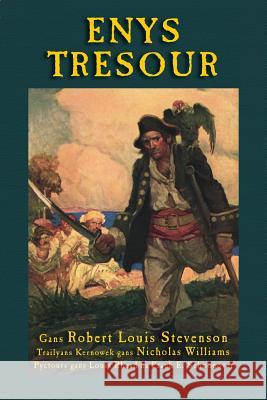 Enys Tresour: Treasure Island in Cornish Stevenson, Robert Louis 9781782010500 Evertype