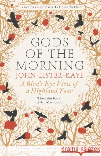 Gods of the Morning: A Bird’s Eye View of a Highland Year Sir John Lister-Kaye 9781782114178