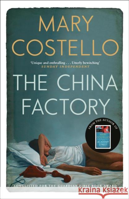 The China Factory Mary Costello 9781782116011