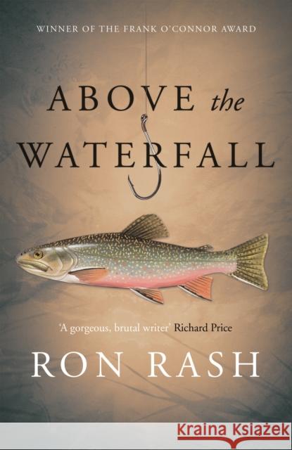 Above the Waterfall Ron Rash 9781782118015 Canongate Books