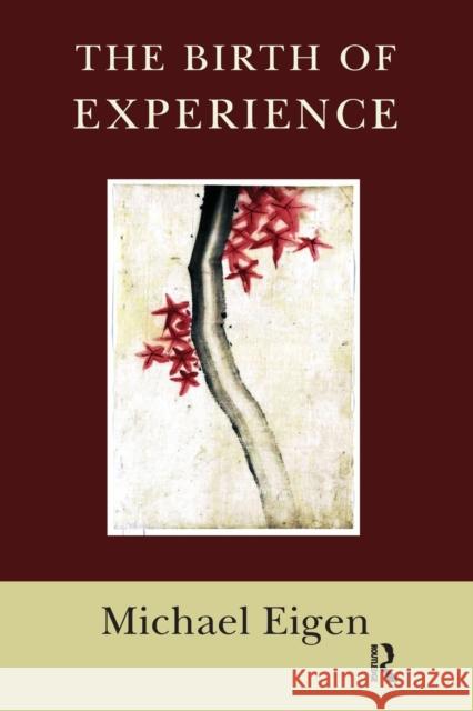 The Birth of Experience Michael Eigen   9781782201533 Karnac Books