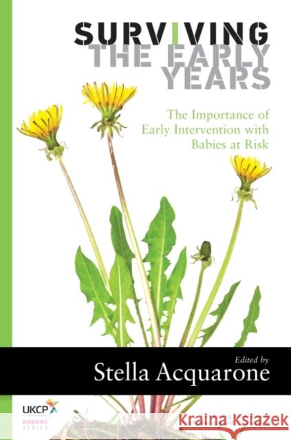 Surviving the Early Years: The Importance of Early Intervention with Babies at Risk Stella Acquarone 9781782202783 Karnac Books