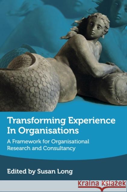 Transforming Experience in Organisations: A Framework for Organisational Research and Consultancy Susan Long 9781782203483 Karnac Books