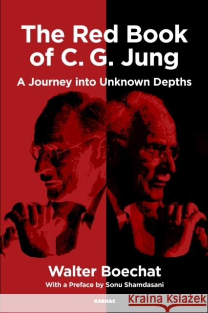 The Red Book of C.G. Jung: A Journey Into Unknown Depths Boechat, Walter 9781782204510