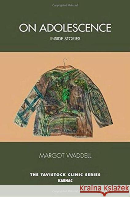 On Adolescence: Inside Stories Waddell, Margot 9781782205265