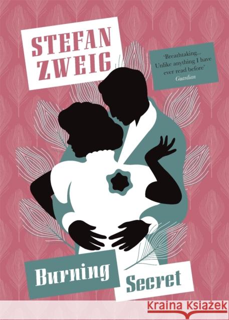 Burning Secret Stefan Zweig Anthea Bell 9781782274520