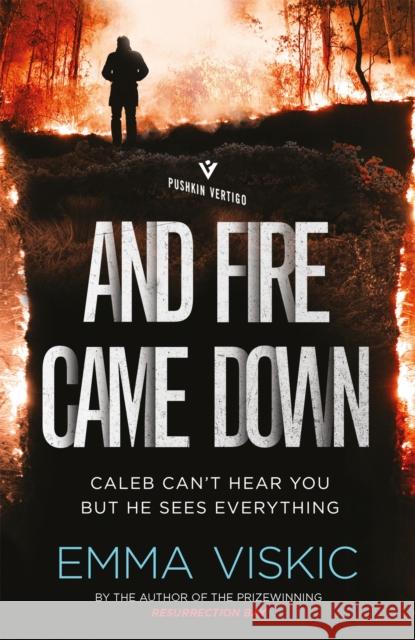 And Fire Came Down Emma Viskic 9781782274551 Pushkin Press