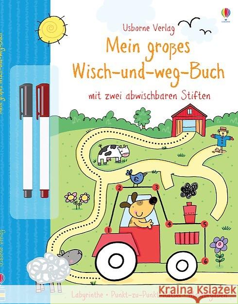 Mein großes Wisch-und-weg-Buch : Mit zwei abwischbaren Stiften. Labyrinthe, Punkt-zu-Punkt-Rätsel, Malaufgaben Taplin, Sam 9781782321705 Usborne Publishing