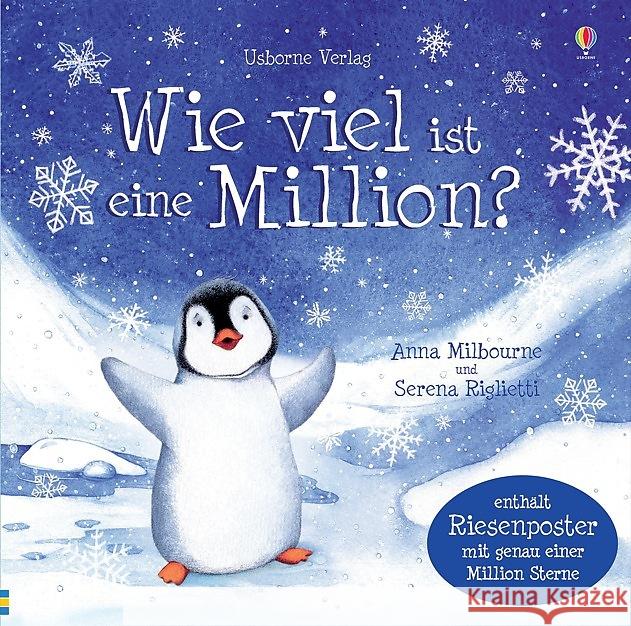 Wie viel ist eine Million? : Enhält Riesenposter mit genau einer Million Sterne Milbourne, Anna 9781782322023