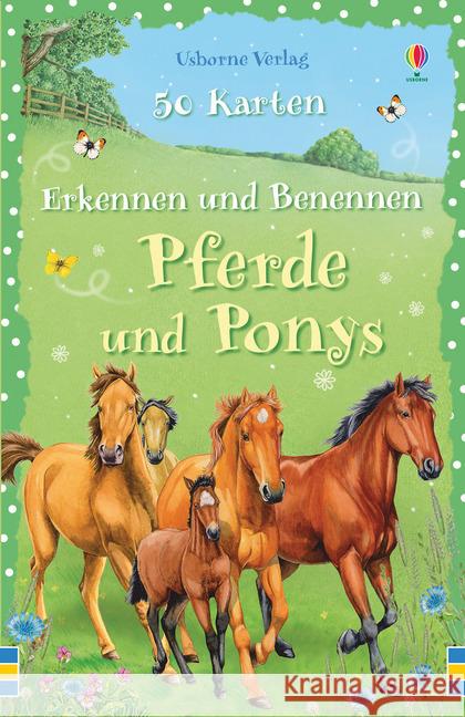 Erkennen und Benennen: Pferde und Ponys Khan, Sarah 9781782324089 Usborne Verlag