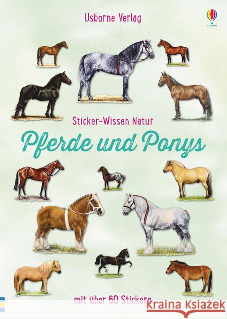 Sticker-Wissen Natur: Pferde und Ponys : Mit über 60 Stickern Spector, Joanna 9781782325819