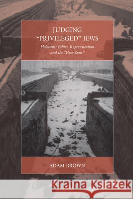 Judging 'Privileged' Jews: Holocaust Ethics, Representation, and the 'Grey Zone' Brown, Adam 9781782389163