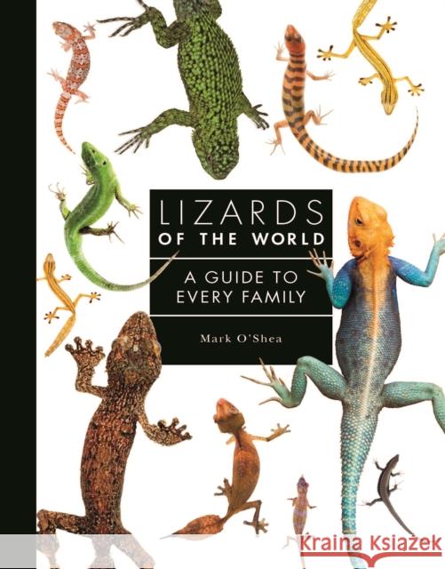 Lizards of the World: A Guide to Every Family Mark O'Shea 9781782409571 Quarto Publishing PLC