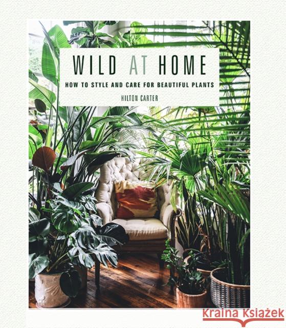 Wild at Home: How to Style and Care for Beautiful Plants Hilton Carter 9781782497134 Ryland, Peters & Small Ltd