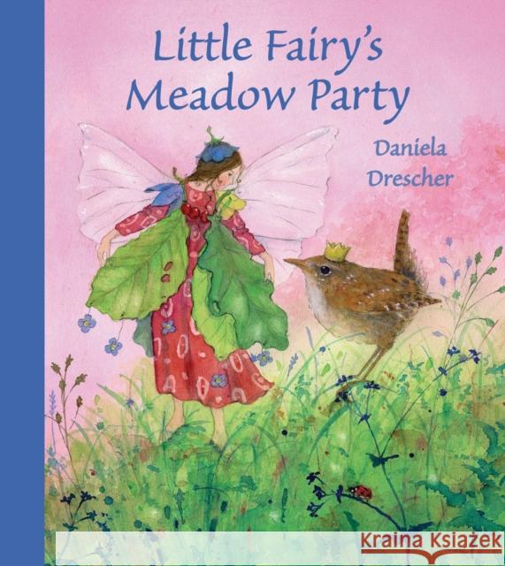 Little Fairy's Meadow Party Daniela Drescher 9781782500100 Floris Books