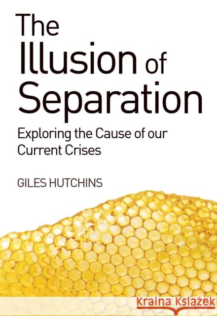 The Illusion of Separation: Exploring the Cause of our Current Crises Giles Hutchins 9781782501275