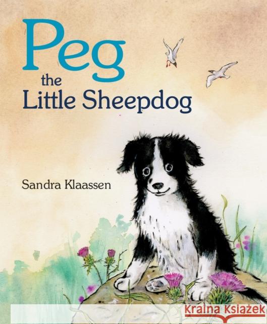 Peg the Little Sheepdog Sandra Klaassen 9781782501817