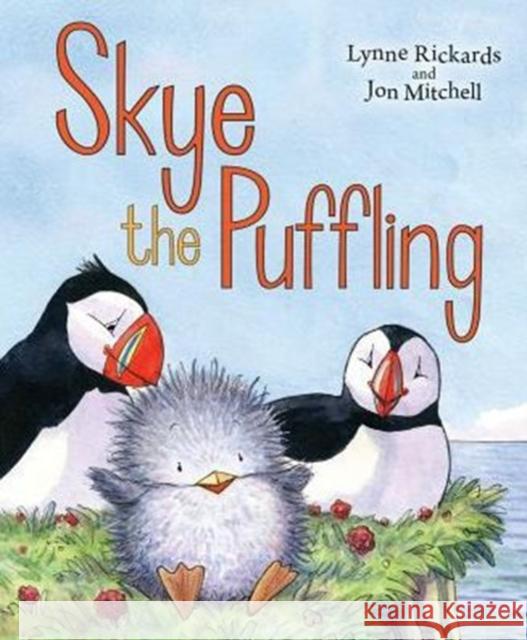 Skye the Puffling: A Baby Puffin's Adventure Lynne Rickards 9781782502555