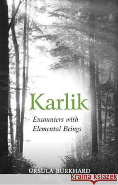 Karlik: Encounters with Elemental Beings Ursula Burkhard David Heaf 9781782504443