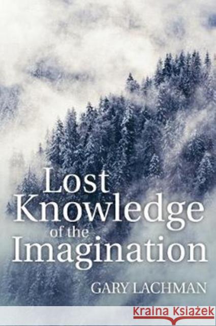 Lost Knowledge of the Imagination Gary Lachman 9781782504450 Floris Books