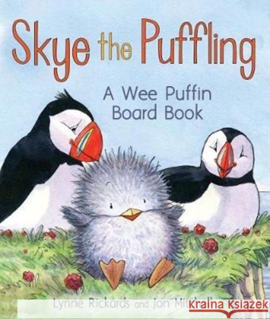 Skye the Puffling: A Wee Puffin Board Book Lynne Rickards, Jon Mitchell 9781782504870