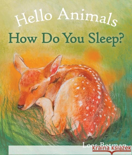 Hello Animals, How Do You Sleep? Loes Botman 9781782505518 Floris Books