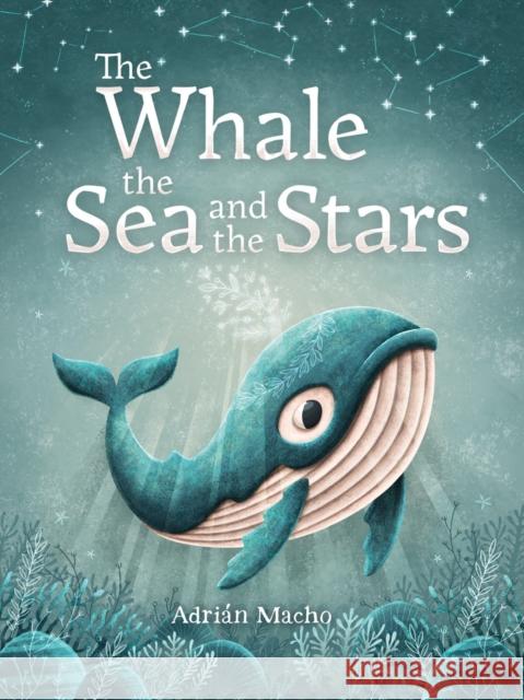 The Whale, the Sea and the Stars Adrián Macho 9781782505594