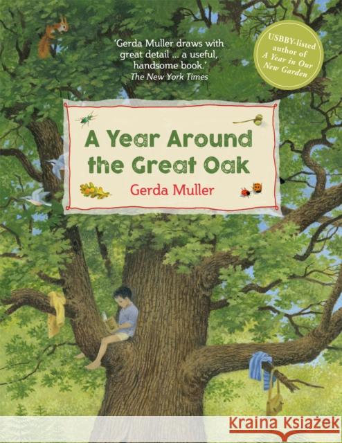 A Year Around the Great Oak Gerda Muller 9781782506027