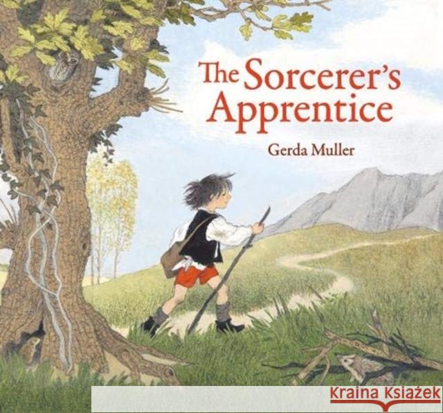 The Sorcerer's Apprentice Gerda Muller 9781782506287