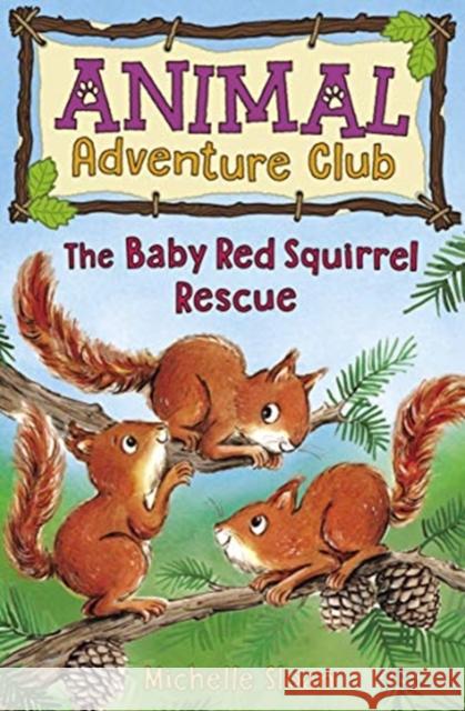 The Baby Red Squirrel Rescue (Animal Adventure Club 3) Michelle Sloan, Hannah George 9781782506669