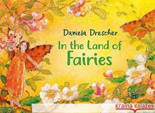 In the Land of Fairies Daniela Drescher 9781782507215