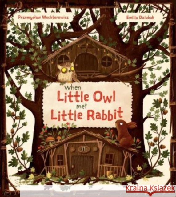 When Little Owl Met Little Rabbit Przemyslaw Wechterowicz 9781782507741 Floris Books