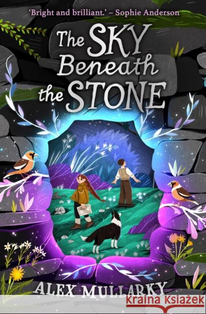 The Sky Beneath the Stone Alex Mullarky 9781782507871 Floris Books