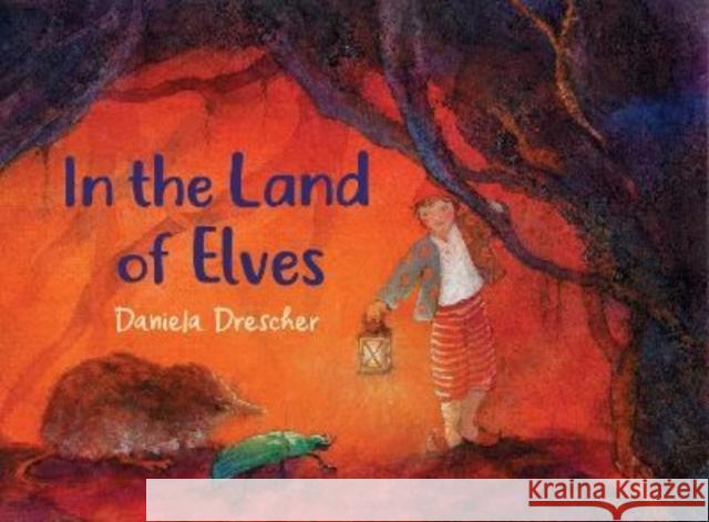 In the Land of Elves Daniela Drescher 9781782508236