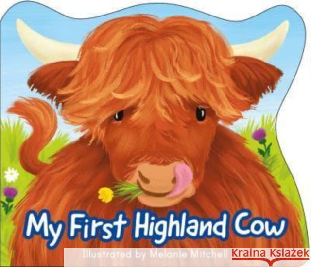 My First Highland Cow Melanie Mitchell 9781782508342