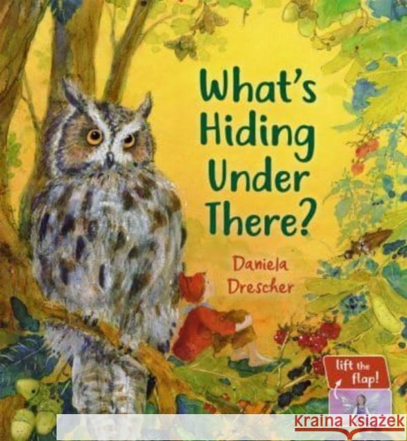 What's Hiding Under There?: A Magical Lift-the-Flap Book  9781782508571 Floris Books